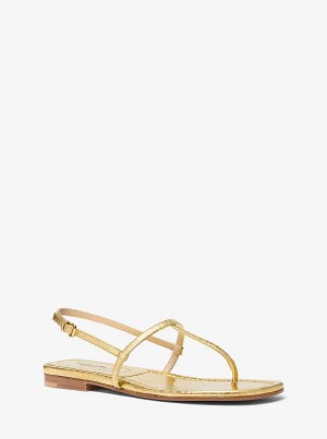 Michaelkors Ali Metallic Python Embossed Leather Zlaté | SN-MK27683